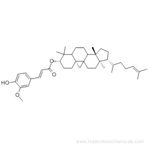 gamma-Oryzanol CAS 11042-64-1